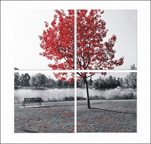 Red leaf tree at the park - California Wall Art
