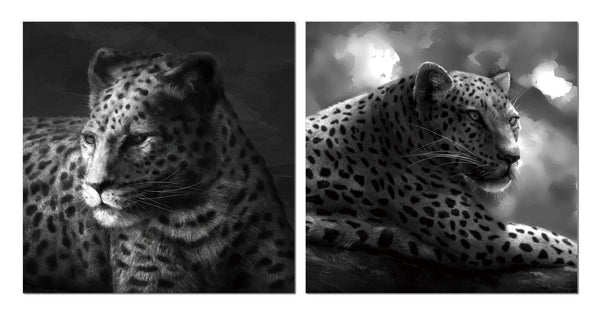 Cheetah Wall Art, Black and White - California Wall Art
