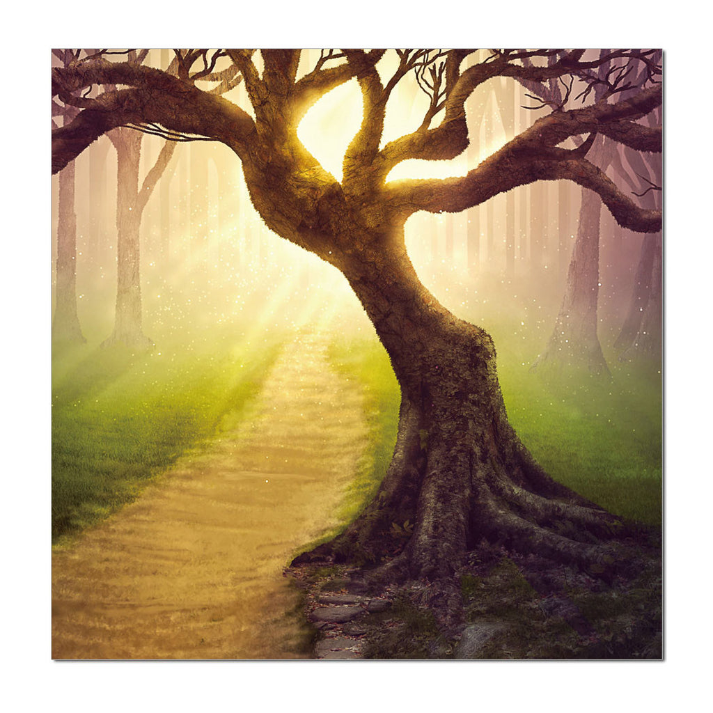 Pathway & Tree - California Wall Art
