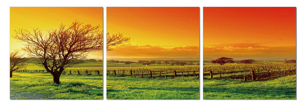 Vinery - California Wall Art
