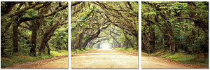 Edisto Trees - California Wall Art
 - 1